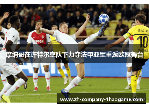 摩纳哥在许特尔率队下力夺法甲亚军重返欧冠舞台 摩纳哥在许特尔率队下力夺法甲亚军重返欧冠舞台